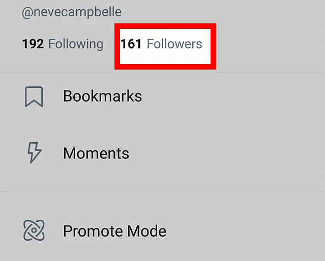 followers list