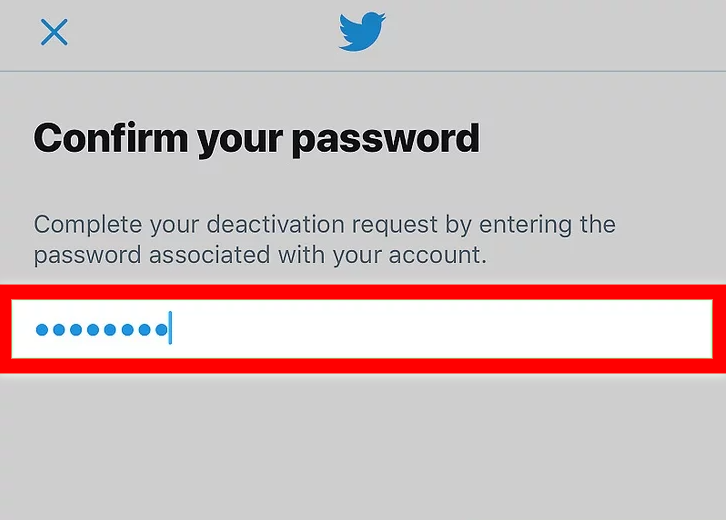 Twitter password