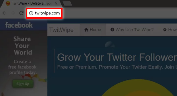 Using TwitWipe