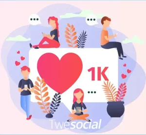 Buy twitter followers with TweSocial