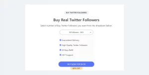buy real twitter followers